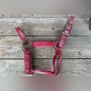 Horse Tack - Red Nylon Hamilton Halter